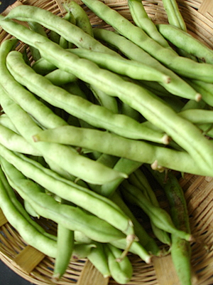 french vegetables