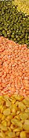 Lentils - Red Gram Dal, Pink Lentils, Whole Moong Dal, Split Yellow Moong