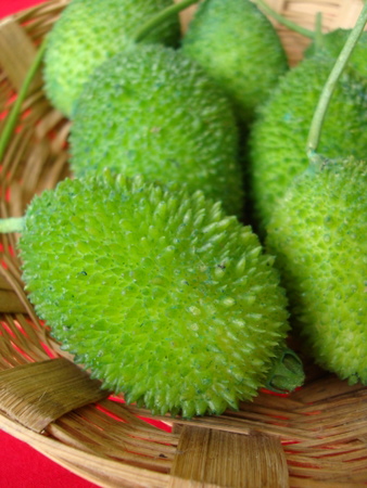 aakakarakaya-kantola-teasel-gourd /upload/thumbnail1/2025/2/24/202056/thumb2